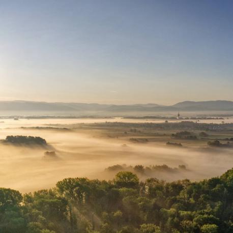 PD-Generator besteht Feldversuch