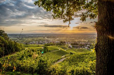 Klimaresonanzfenster